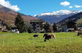 Baita nei pra - Photo 3