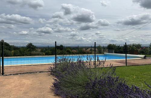 Gîte dans le plus ancien vignoble de France avec piscine partagée - FR-1-489-545 - Foto 23