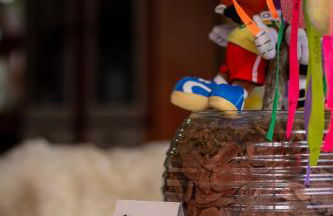 Figueira do Rio do Boi Com Hidromassagem - Foto 48