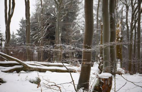 Blu Apartments - Foto 44