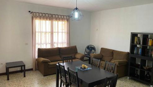 Les oliveres de l'Empordà - Foto 5