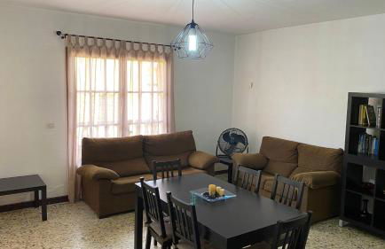 Les oliveres de l'Empordà - Foto 5