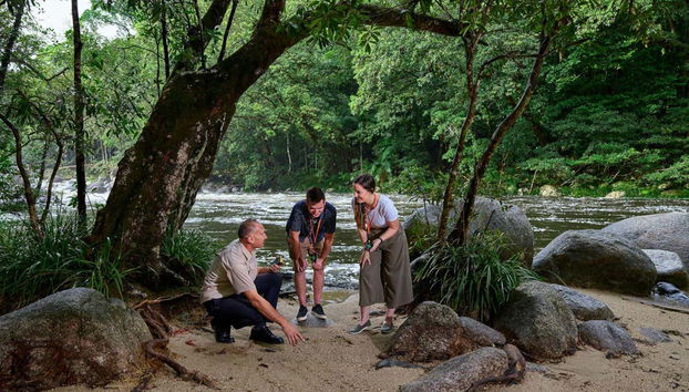 Excursión a Daintree, Mossman Gorge y Cape Tribulation - Foto 2