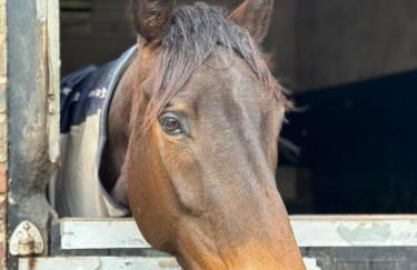 Well-equipped Apartment at Westerlands Farm - Foto 41