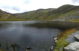 The Old Surgery - Foto 25