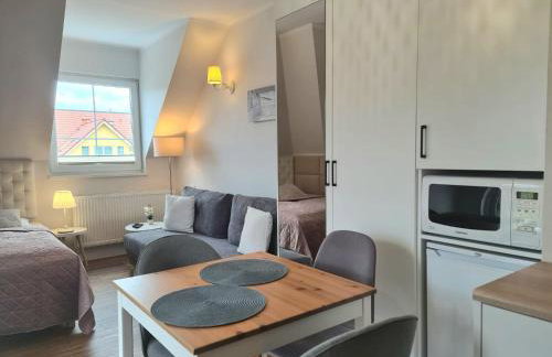 APARTAMENTY "LA VILLA" z prywatnym parkingiem, klimatyzacją, ogrodem, blisko centrum - Foto 33
