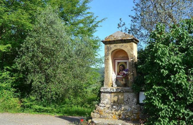 Lovely Estate not far From Florence With Olives Trees - Foto 77