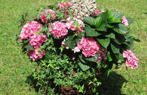 Ferienwohnung Cornelia - Foto 17