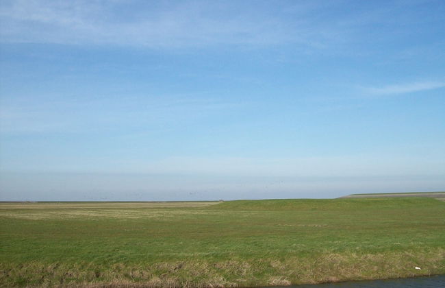 Farmhouse in Holwerd Near the Sea - Foto 40