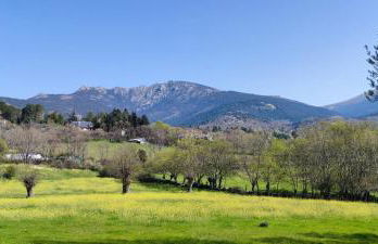 Jaza Paraiso - Foto 14