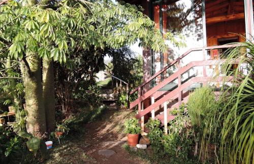 Holiday Home in Canhas mit Schönem Garten by Interhome - Foto 15