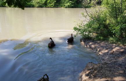 Ferienwohnung Vogelsang - Foto 6