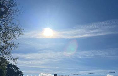 Dundrine Cottage - Foto 23