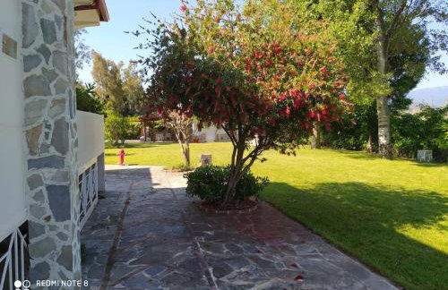 Serafim beach house - Foto 19