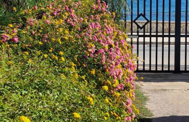 La Casetta del Borgo Marinaro - Foto 8