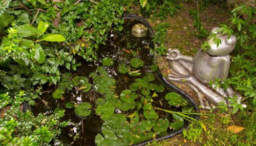 Apartments Silver Tree - Foto 5