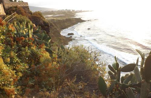 Banana Paradise - Foto 46