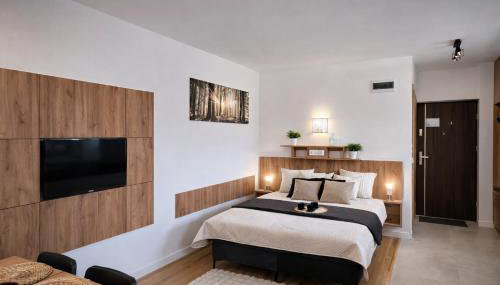 Willa Sowia nowy apartament z prywatnym tarasem i widokiem na góry - Foto 4