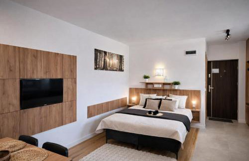 Willa Sowia nowy apartament z prywatnym tarasem i widokiem na góry - Foto 4