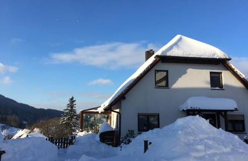 Ferienwohnung Rennsteigblick - Foto 3