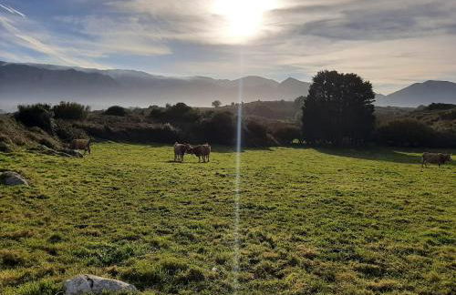 El Cantón de Poo, agradable casa adosada a 800m de la playa VV-2256-AS - Foto 32