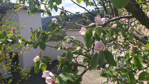 Chiantivillas Villa Torricella, 27 - Foto 2