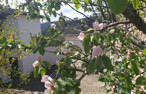 Chiantivillas Villa Torricella, 27 - Foto 2