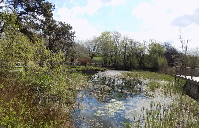 2-bed Cottage, Sleeps 5, Pets Ok, Close to Coast - Foto 24