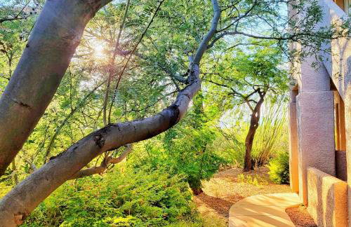 Luxury 3BD 2BA Home Near Tucson with Desert Views - Foto 7