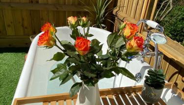 Cosy dog friendly lodge with an outdoor bath on the Isle of Wight - Foto 3