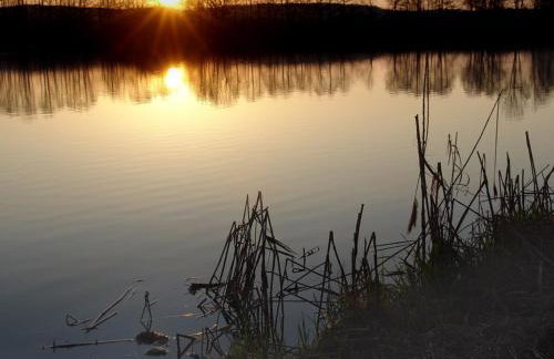Ferienwohnung Waldstraße - Foto 36