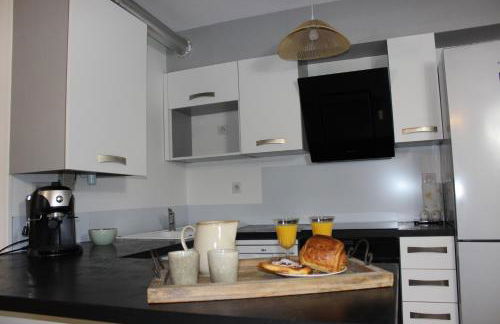 Appartement l'esprit de Lourdes, proche sanctuaire et gare, vue sur le château - Foto 21