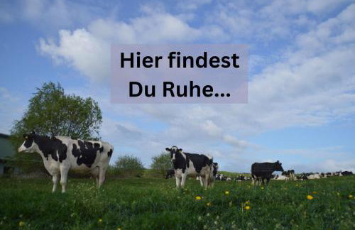 Kleine einzigartige Ferienwohnung auf dem Bauernhof, direkt in der Natur mit Blick auf Schloss Braunfels - Photo 34