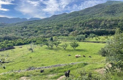 Entre Terre et Mer - Foto 48