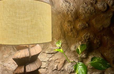 Agroturisme Son Cardaix - Foto 10