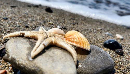 Residence Casa Di Caccia - Foto 3