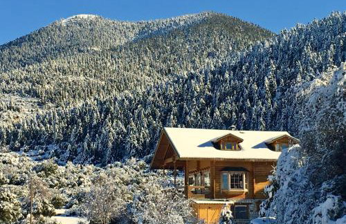 Vytina log house - Photo 2