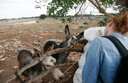 Agroturismo Matxani Gran - Foto 31