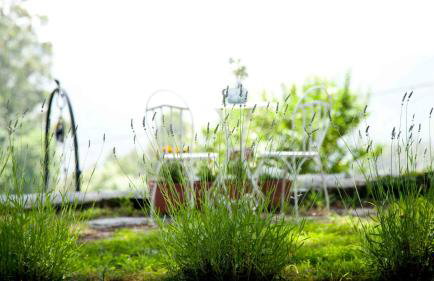 La Casa de la Abuela Milagros - Photo 42