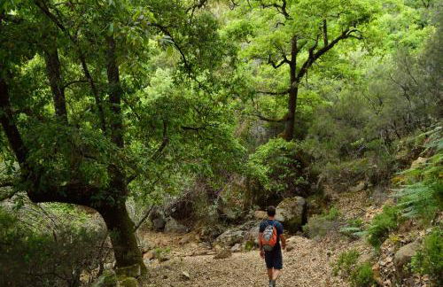 Casa Rural Ahoraya - Foto 72