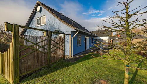 Haus-Austernfischer - Foto 3