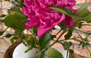 Ferienwohnung-Treeneblick - Foto 19