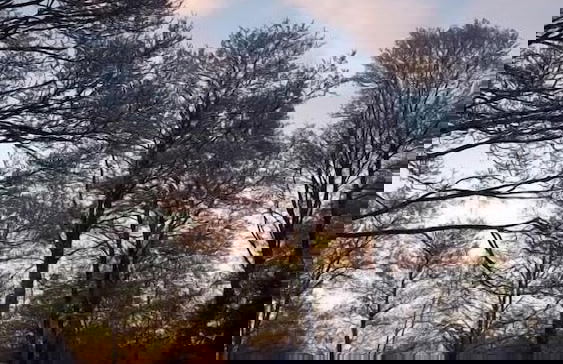 Billund Farm Holiday - Photo 48