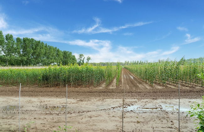 Limburg Mansion With Spa Near Forest - Foto 38