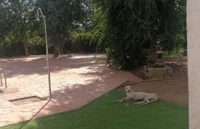 Villa Marichu. Piscina, BBQ y a 15 min Puy du Fou - Foto 20