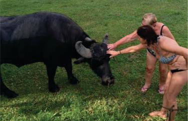 Pousada Marajoara- Hotel Fazenda-Turismo de Aventura - Photo 18