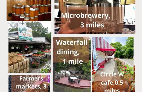 Plant House - Foto 12