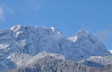 Apartament Górski Potok Murzasichle Apartamenty Murzasichle PL - Foto 64