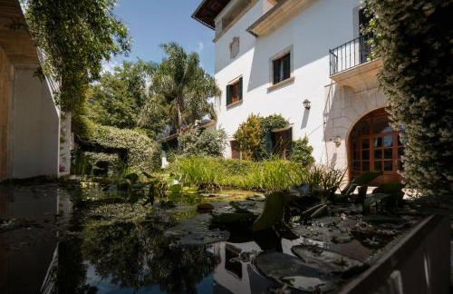 Alfabia Nou Agroturismo - Foto 31