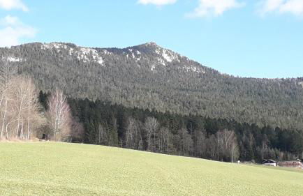 Köppl Katrin - Photo 7